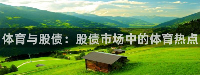 vsport体育官网下载平台是正规平台吗:体育与股债:股债市